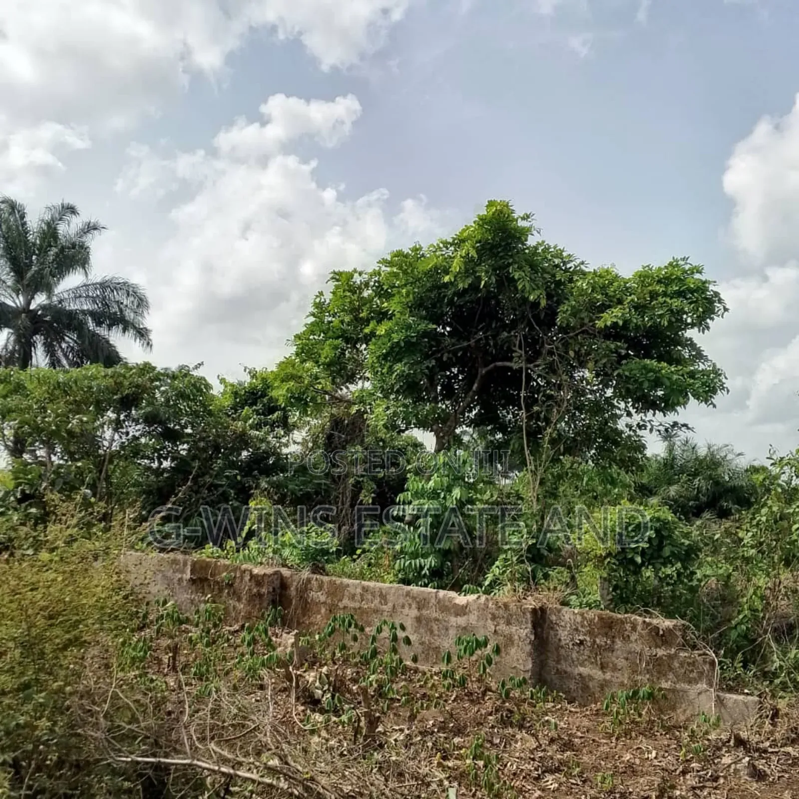 50 Plots at Airport Road Extension in Benin City