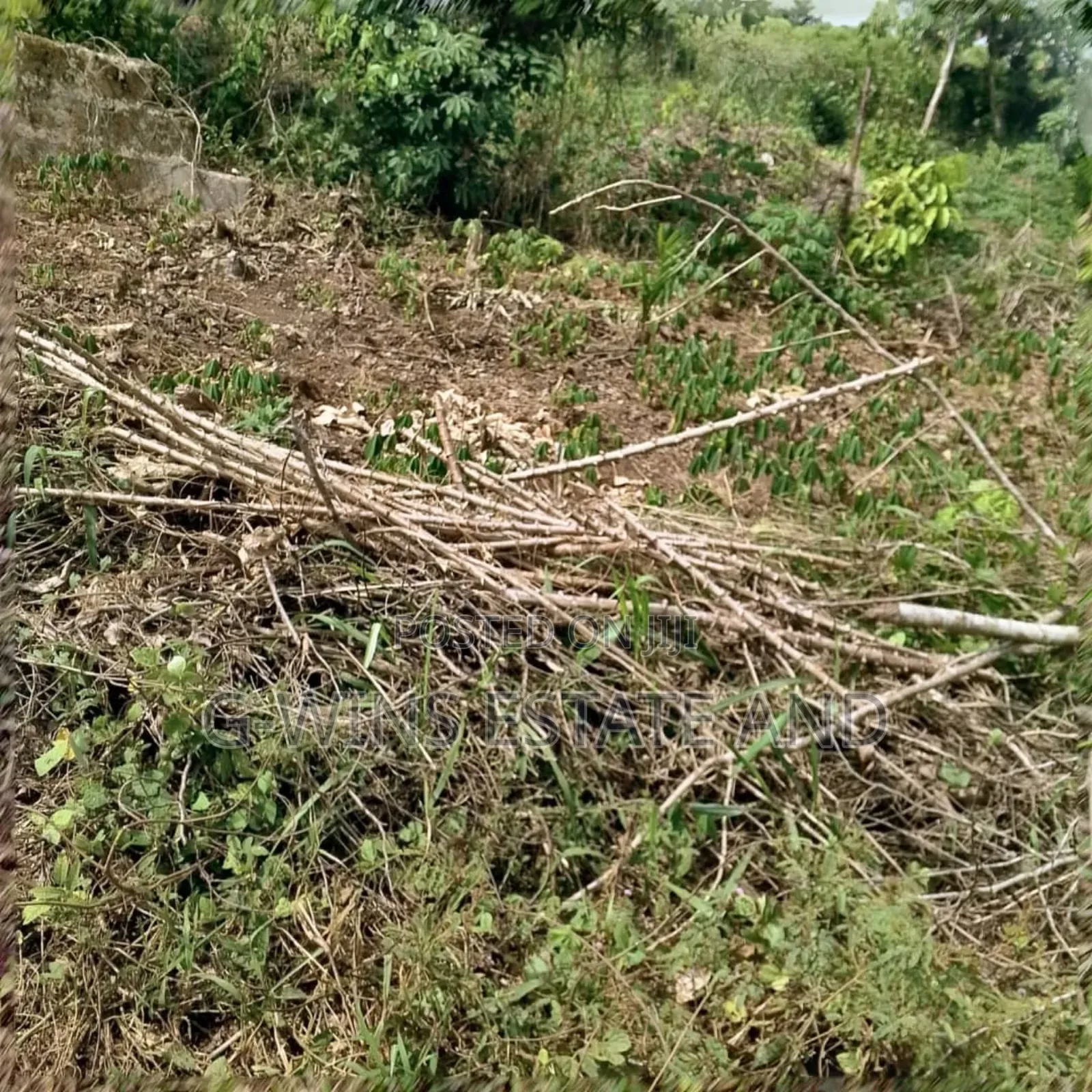 50 Plots at Airport Road Extension in Benin City