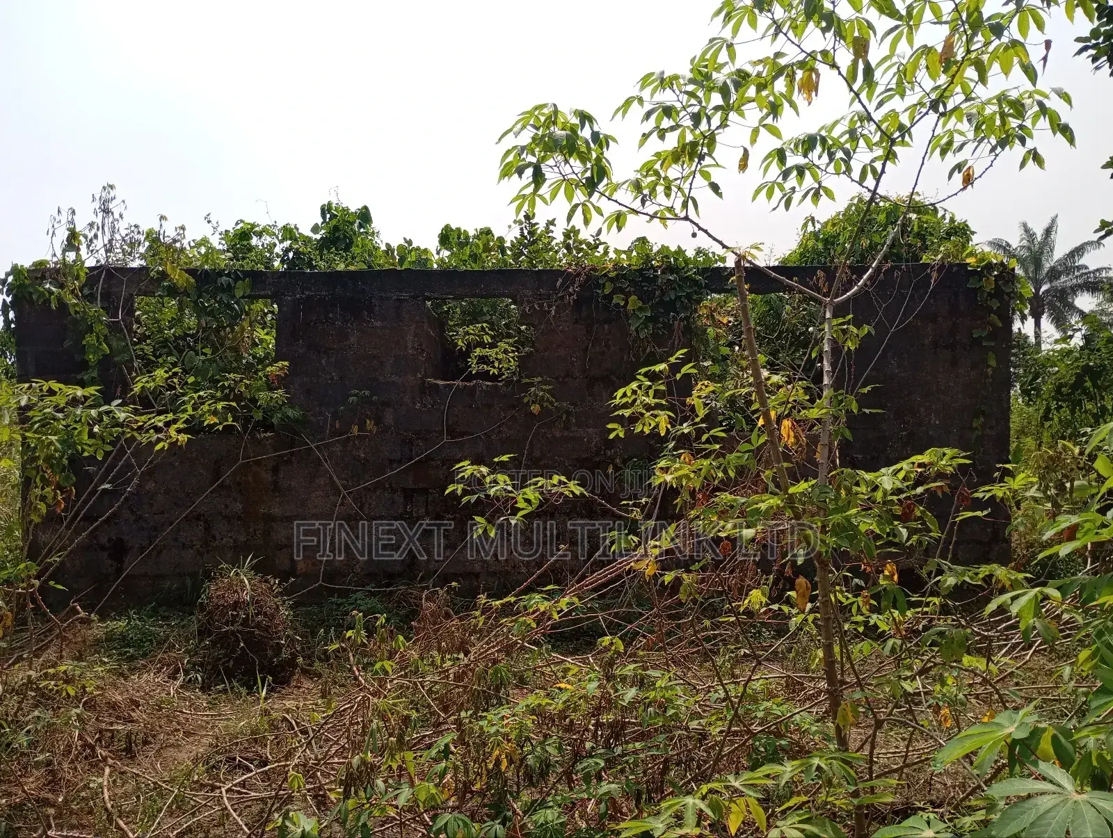 1bdrm Block of Flats in Peace Layout, Port-Harcourt for sale in Port-Harcourt