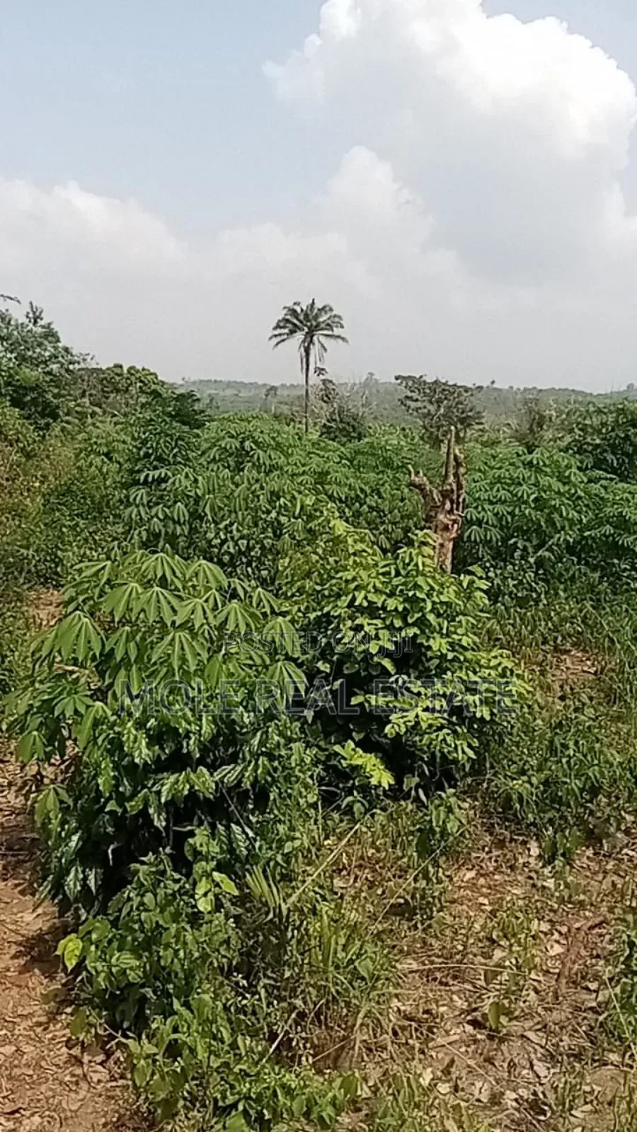 2025100 Acres Farm Land Agbowa Ikorodu in Ikorodu