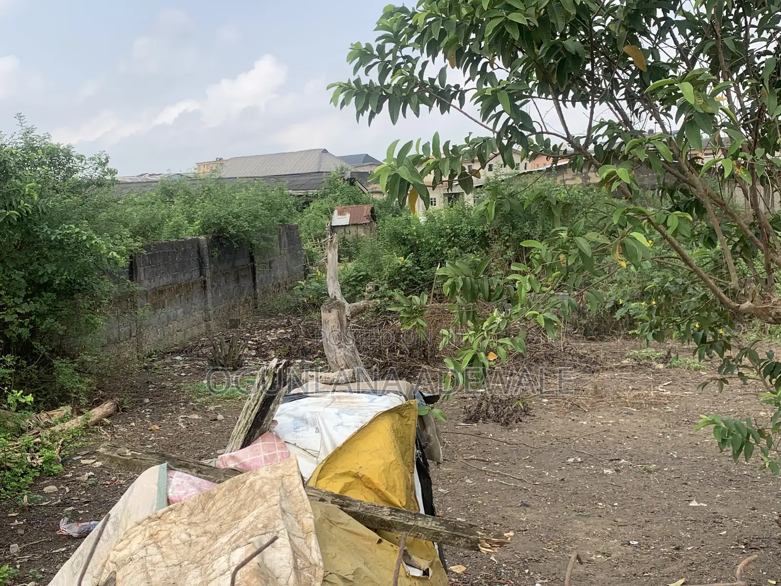 Half Plot of Land for Sale at Oreofe Ijegun in Ikotun/Igando