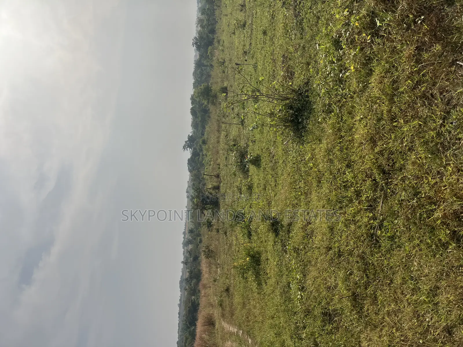 250 Acres of Land Located at Okaka, Itesiwaju Local Gov Area in Itesiwaju