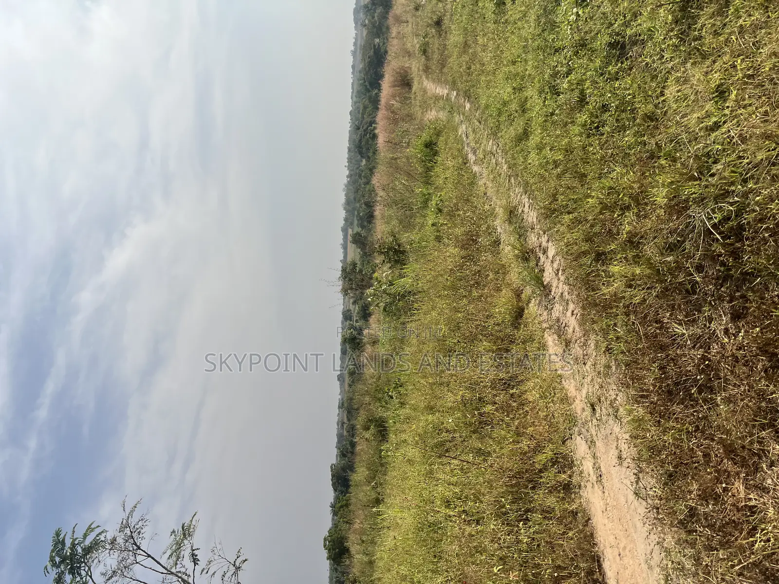 250 Acres of Land Located at Okaka, Itesiwaju Local Gov Area in Itesiwaju