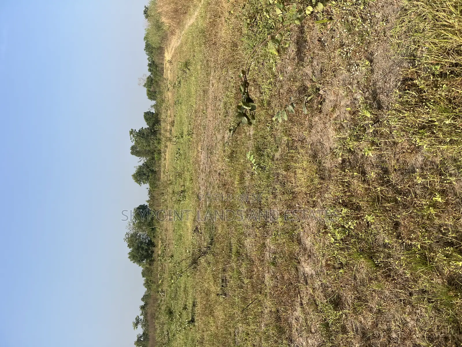 250 Acres of Land Located at Okaka, Itesiwaju Local Gov Area in Itesiwaju