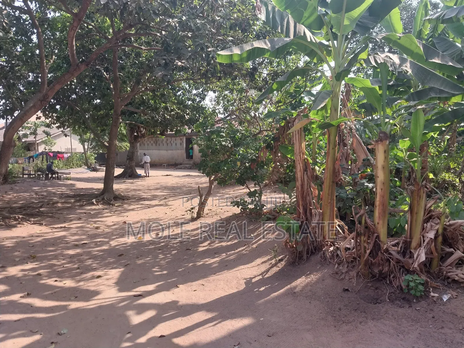 Half Plot of Land Fenced and Gated by Governos Rd in Governors Road
