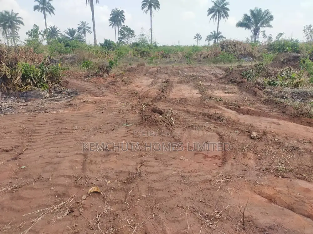 Best Deal of the Year Ibusa Land Asaba Delta State in Oshimili North
