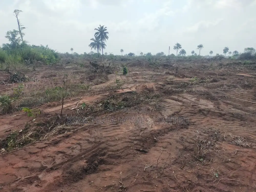 Best Deal of the Year Ibusa Land Asaba Delta State in Oshimili North
