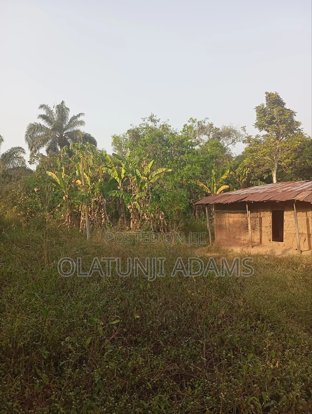 2000acres of Farmland at Faforijin in Osogbo