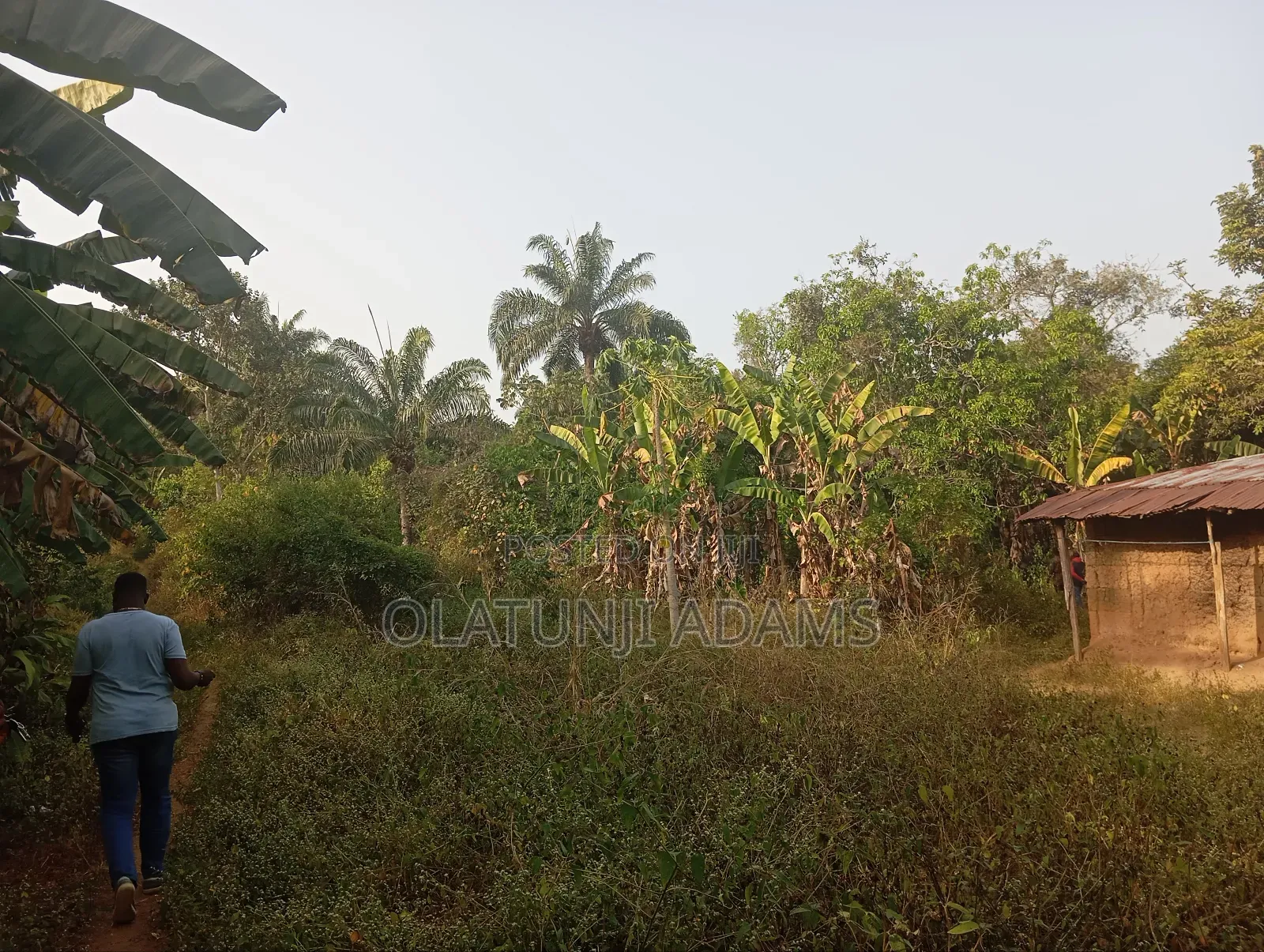 2000acres of Farmland at Faforijin in Osogbo