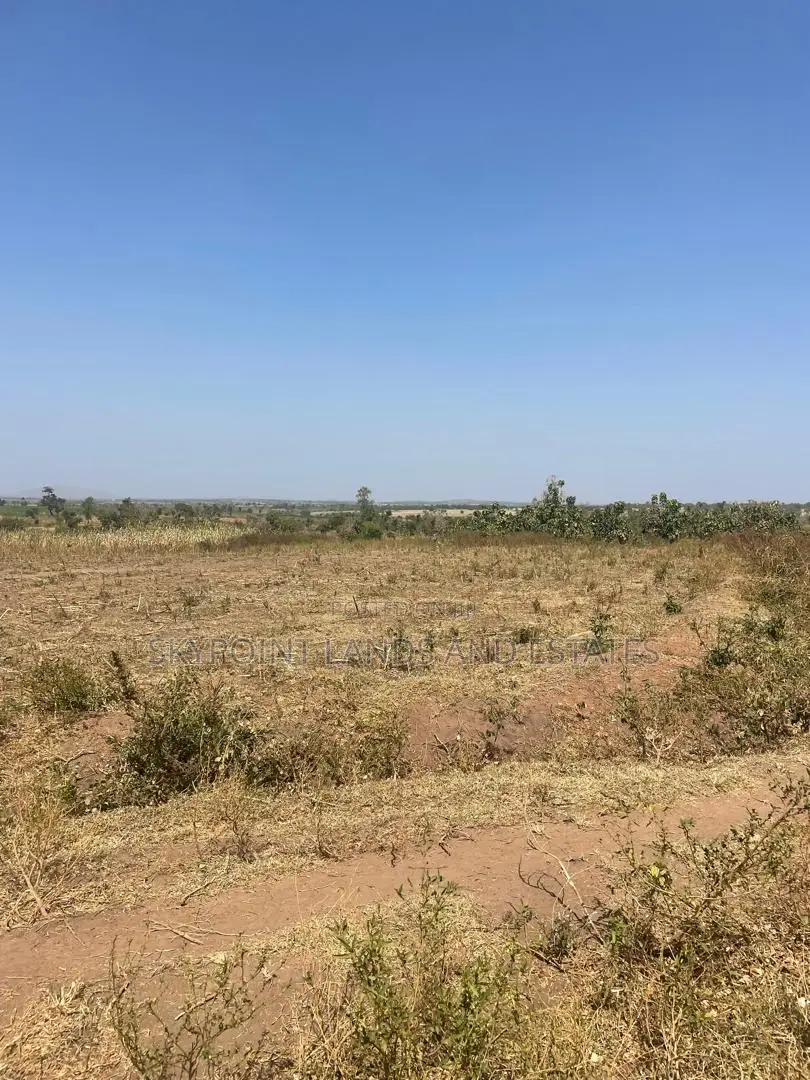 500 Acres at Igbojaye Itesiwaju Local Government in Itesiwaju