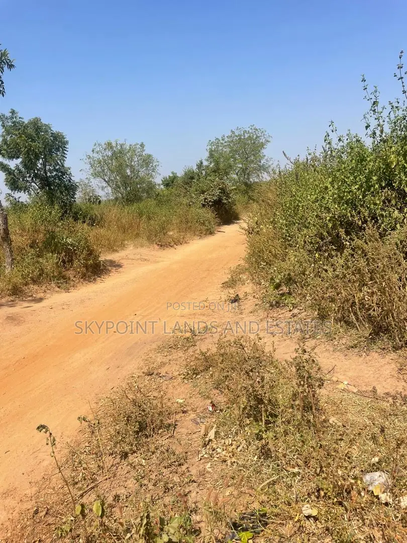 500 Acres at Igbojaye Itesiwaju Local Government in Itesiwaju