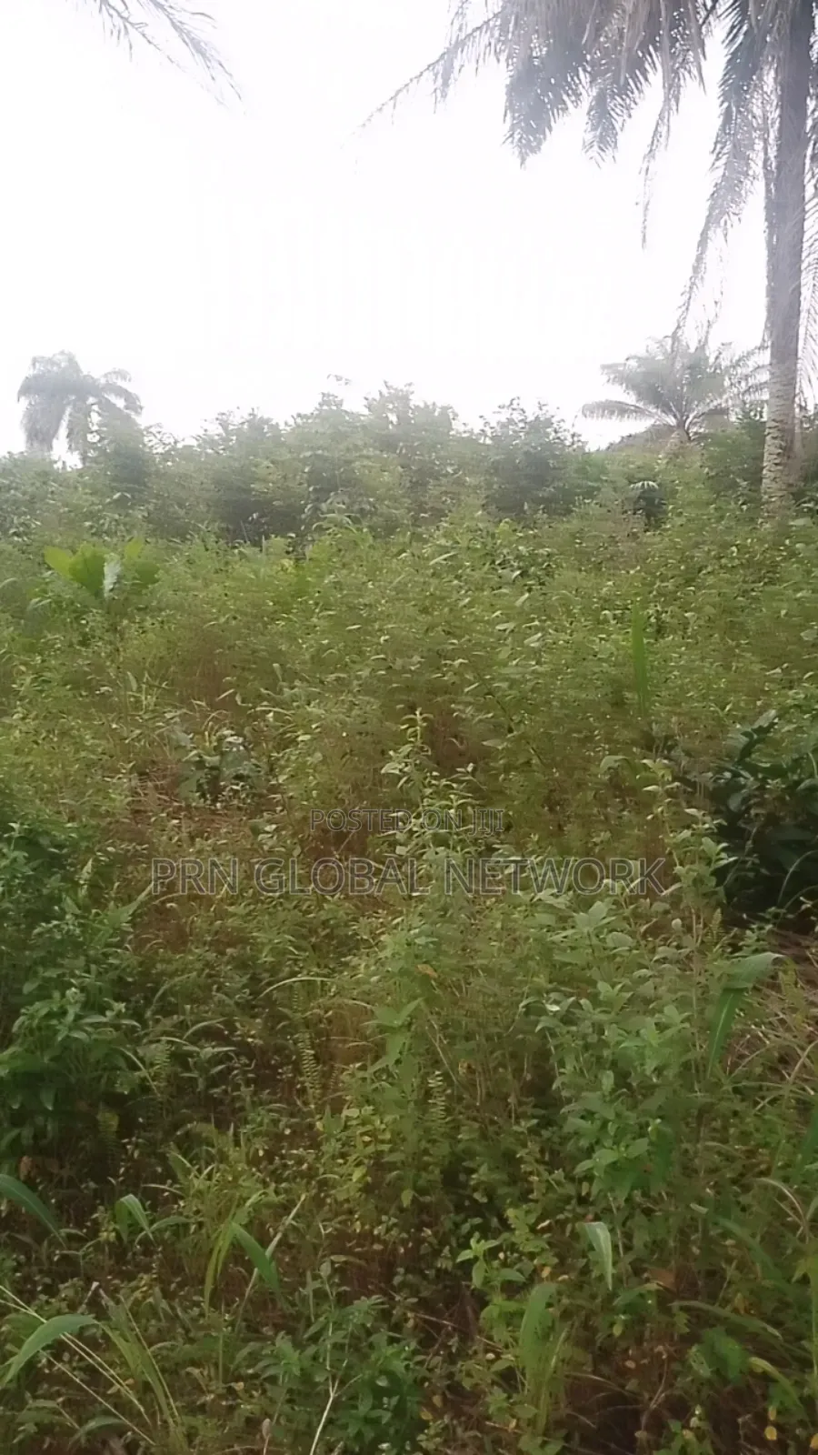 31 Plots of Land in Ngor-Okpala