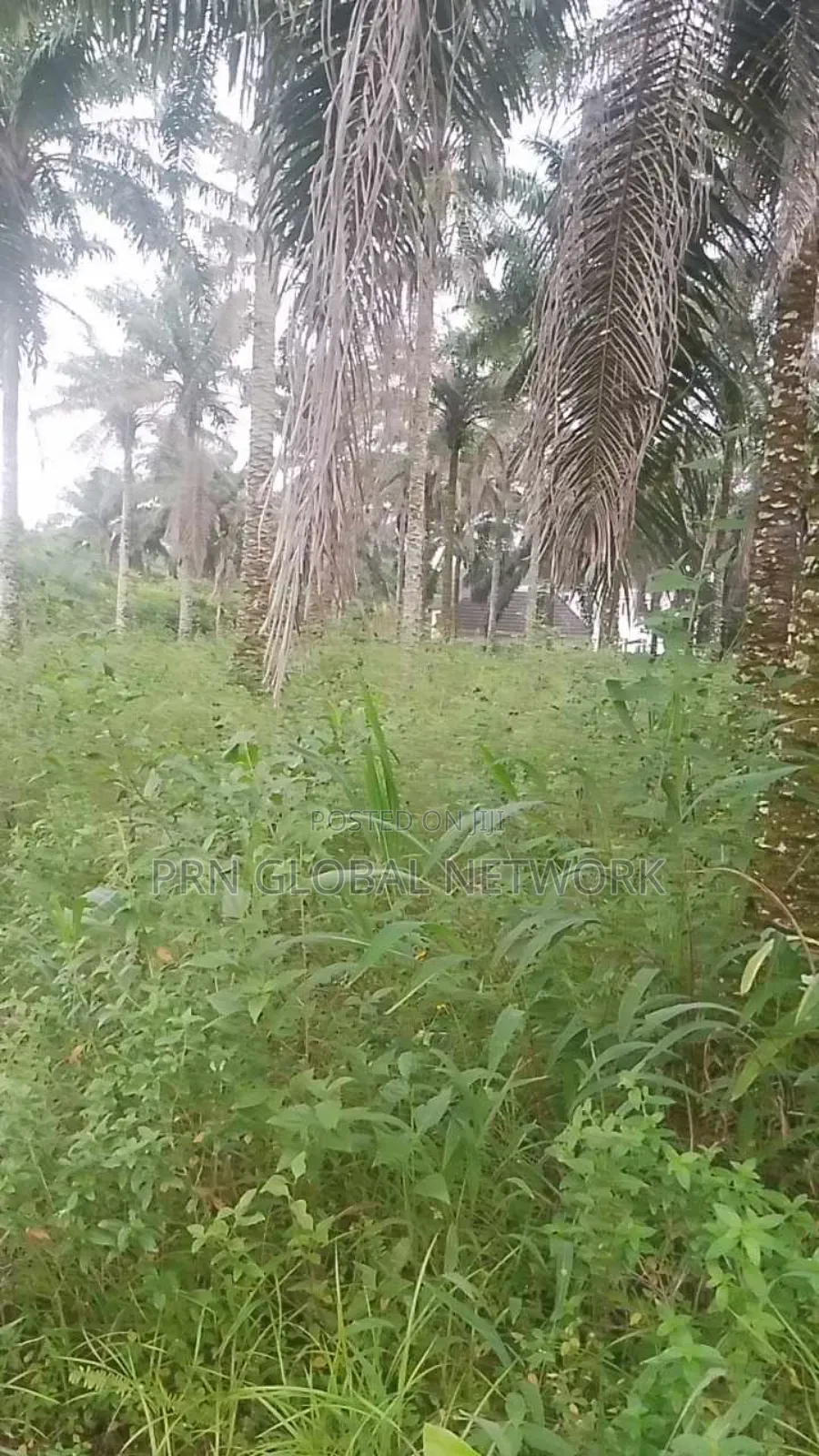 31 Plots of Land in Ngor-Okpala