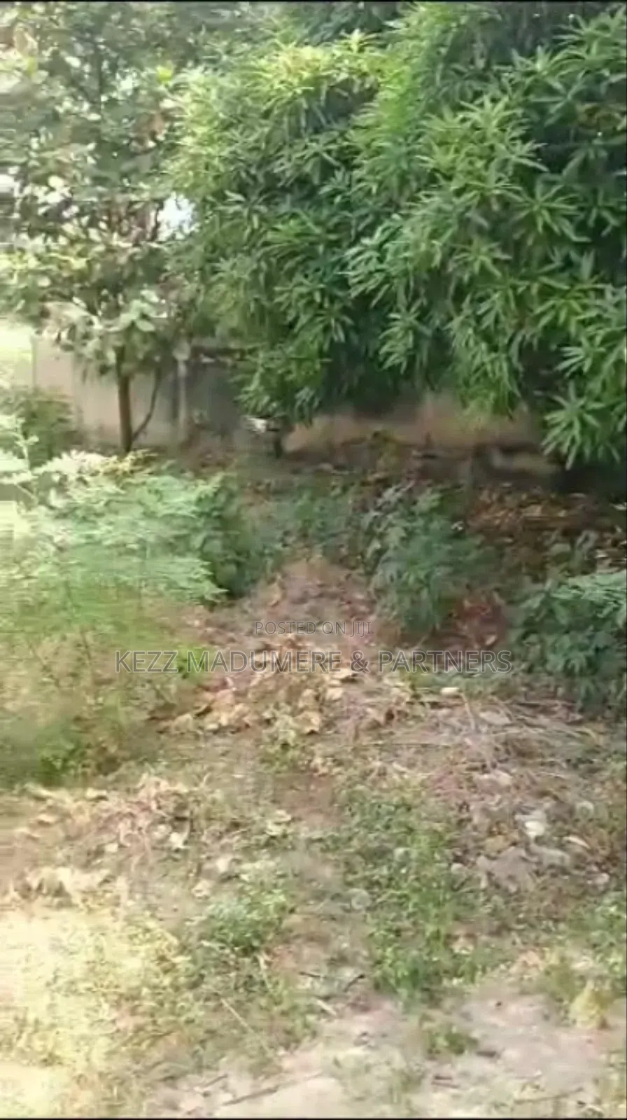 For Sale : 2728 Sqmts, at Ogui Road, Enugu in Enugu