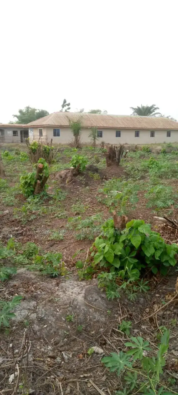 Good Dry Land, Baba-Adisa, Elerangbe, Ibeju Lekki in Elerangbe