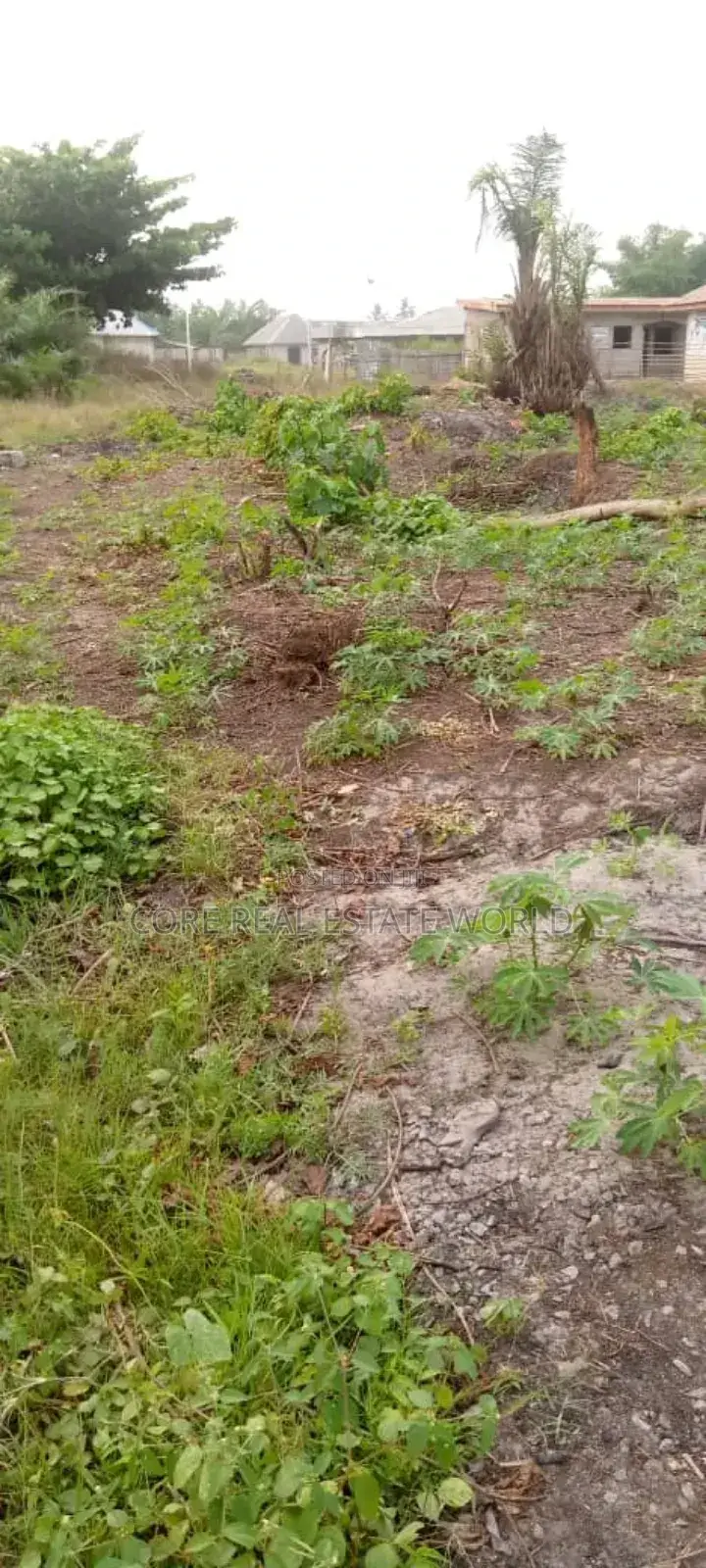 Buy and Build and All Inclusive in ABA in Osisioma Ngwa