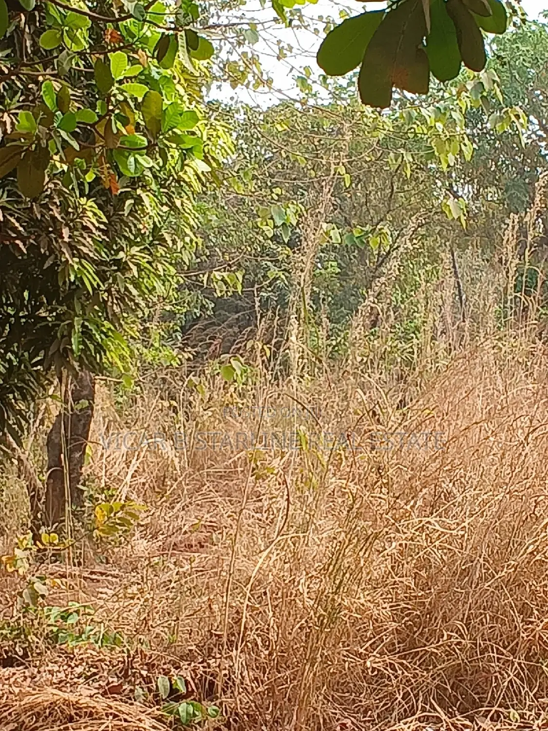 8 Plots of Land for Sale in Ebonyi