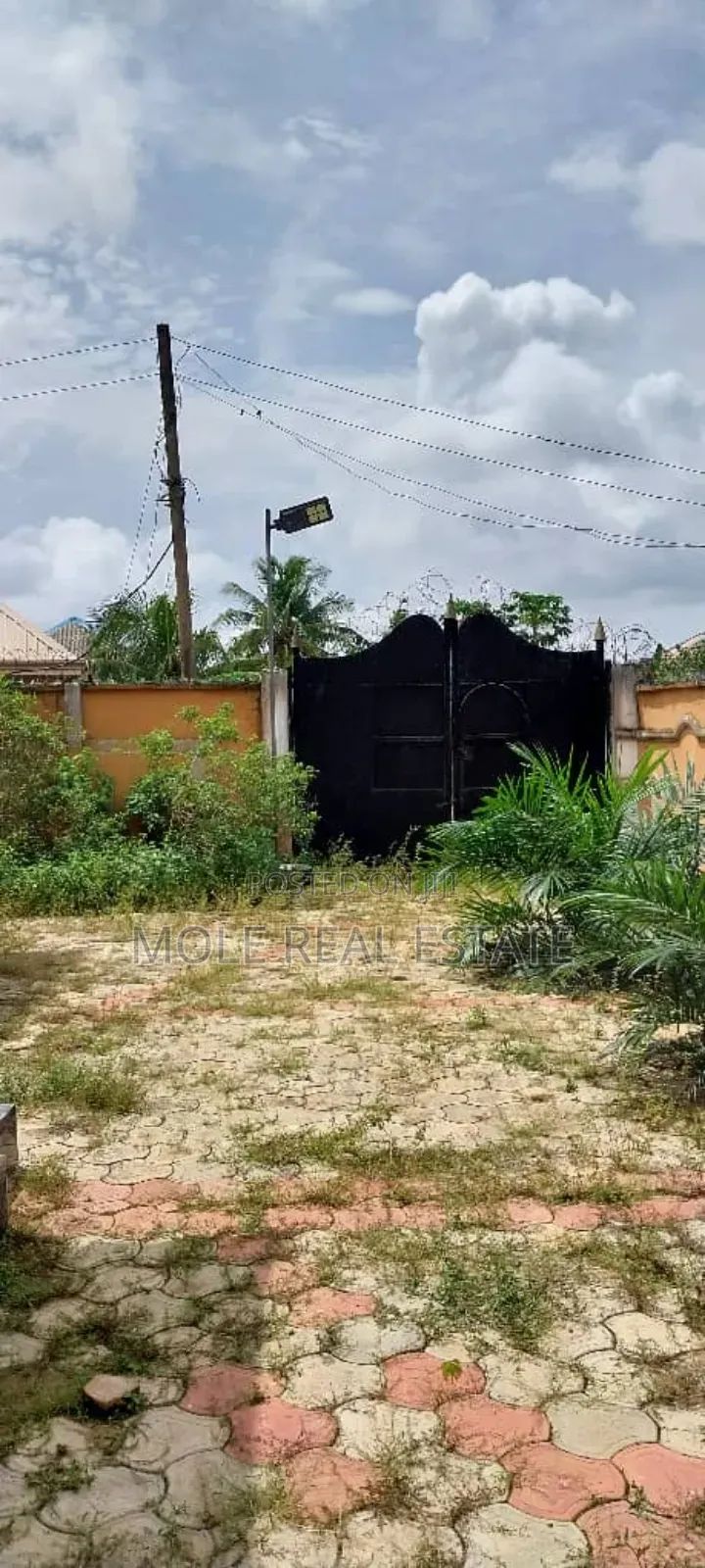 Functional Palm Plantation 4 Sale Ibadan in Ibadan