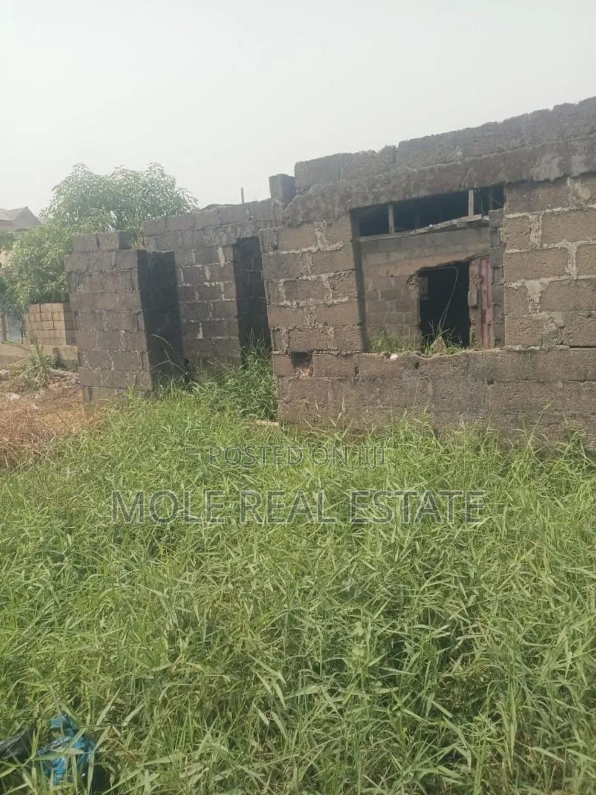 Functional Palm Plantation 4 Sale Ibadan in Ibadan