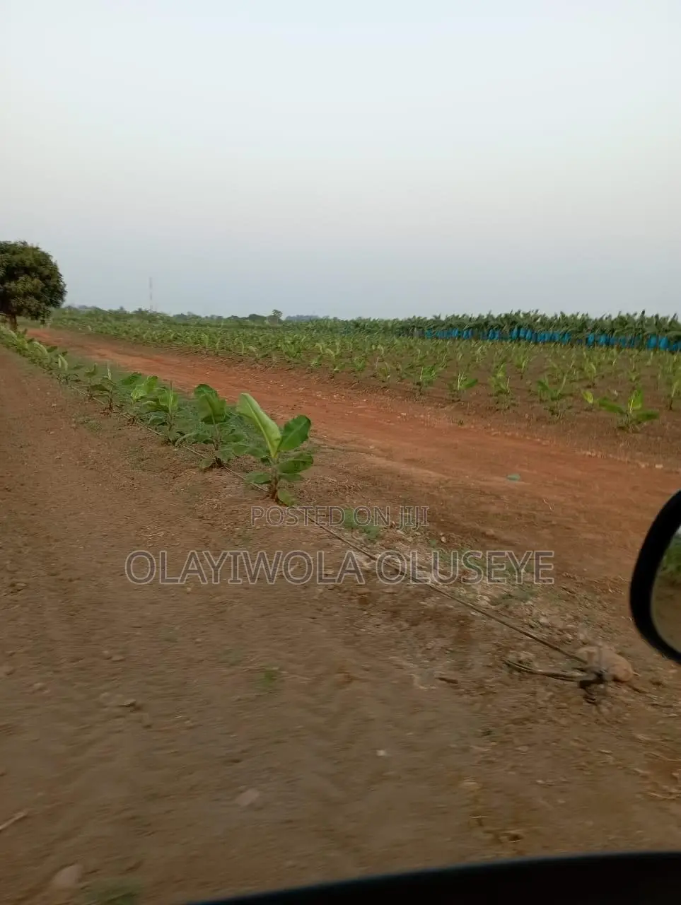 Farmland in Ogun State, Nigeria in Obafemi-Owode
