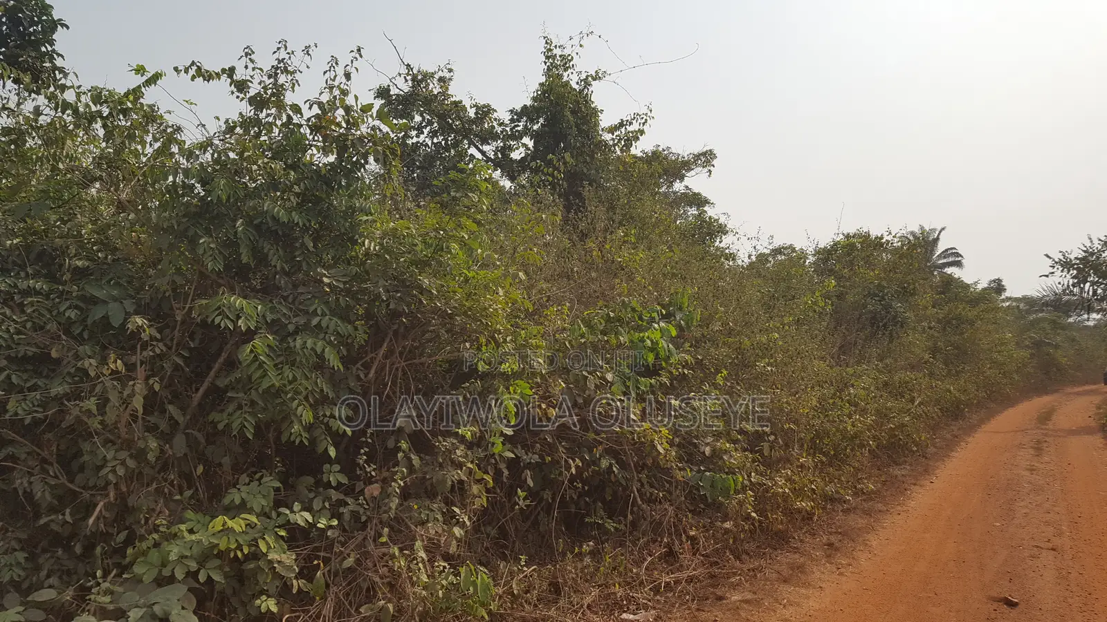 Farmland in Ogun State, Nigeria in Obafemi-Owode