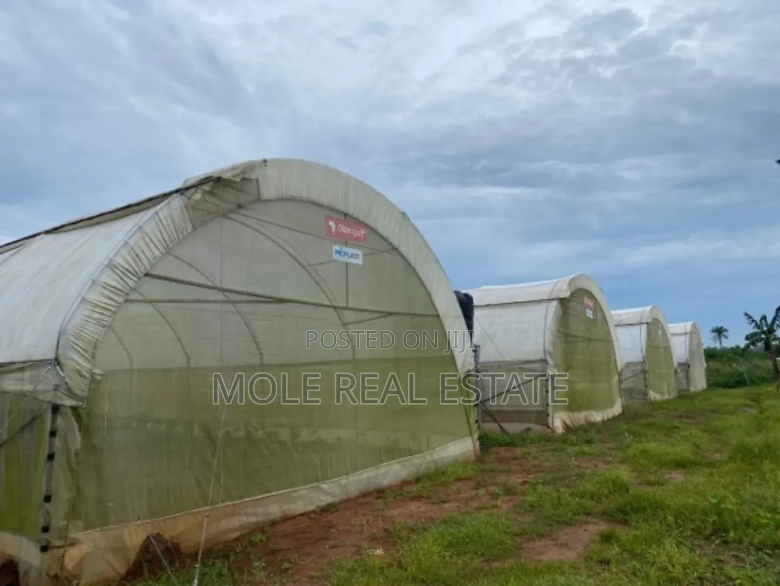 14 Acres Mordern Green Farm Odogbolu Ogun State in Odogbolu