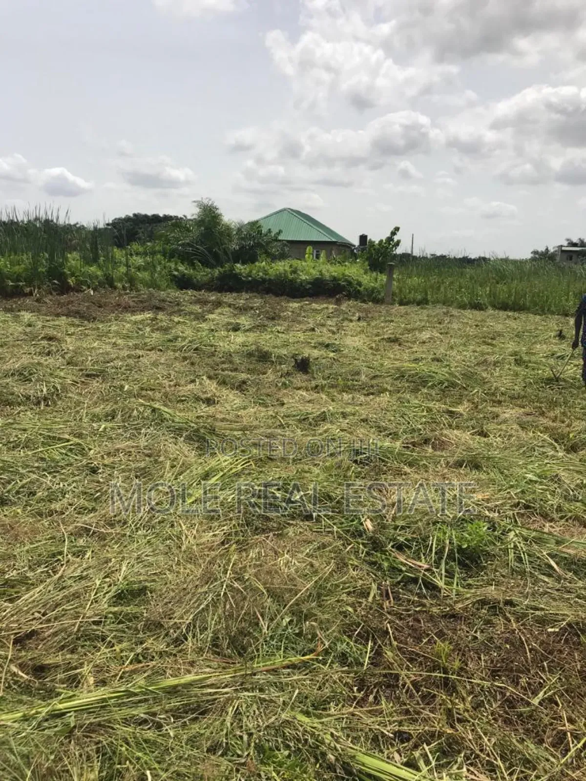 50ft By 25ft Starter Plot New Ijegun Festac Link RD in Ijegun