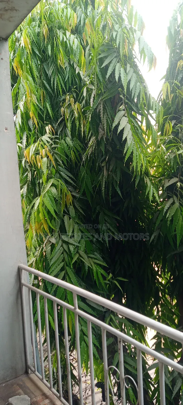 Studio Apartment in Surulere for rent in Surulere