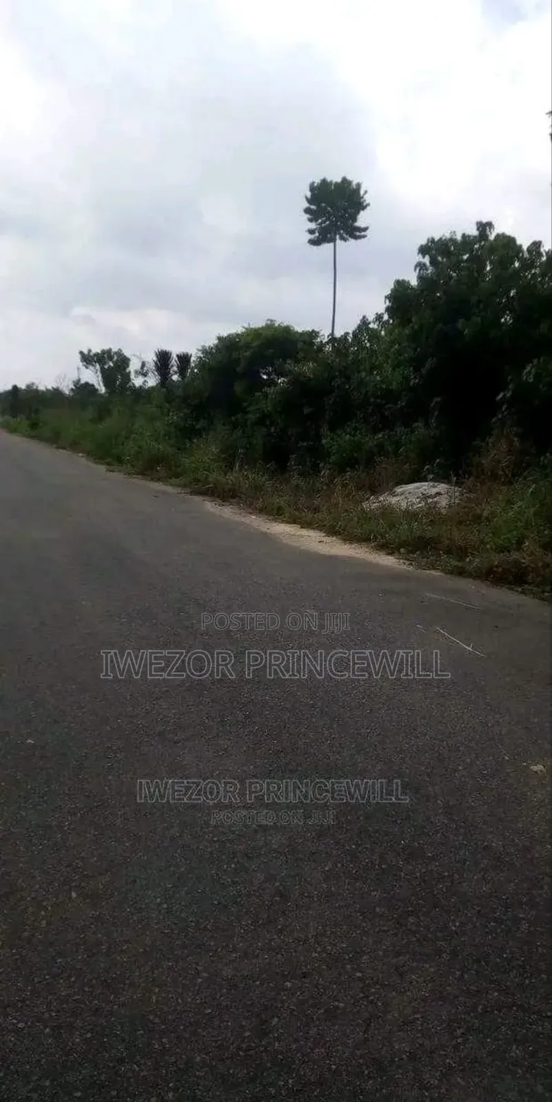 10,000 Plots for Sale in Rivers State in Etche