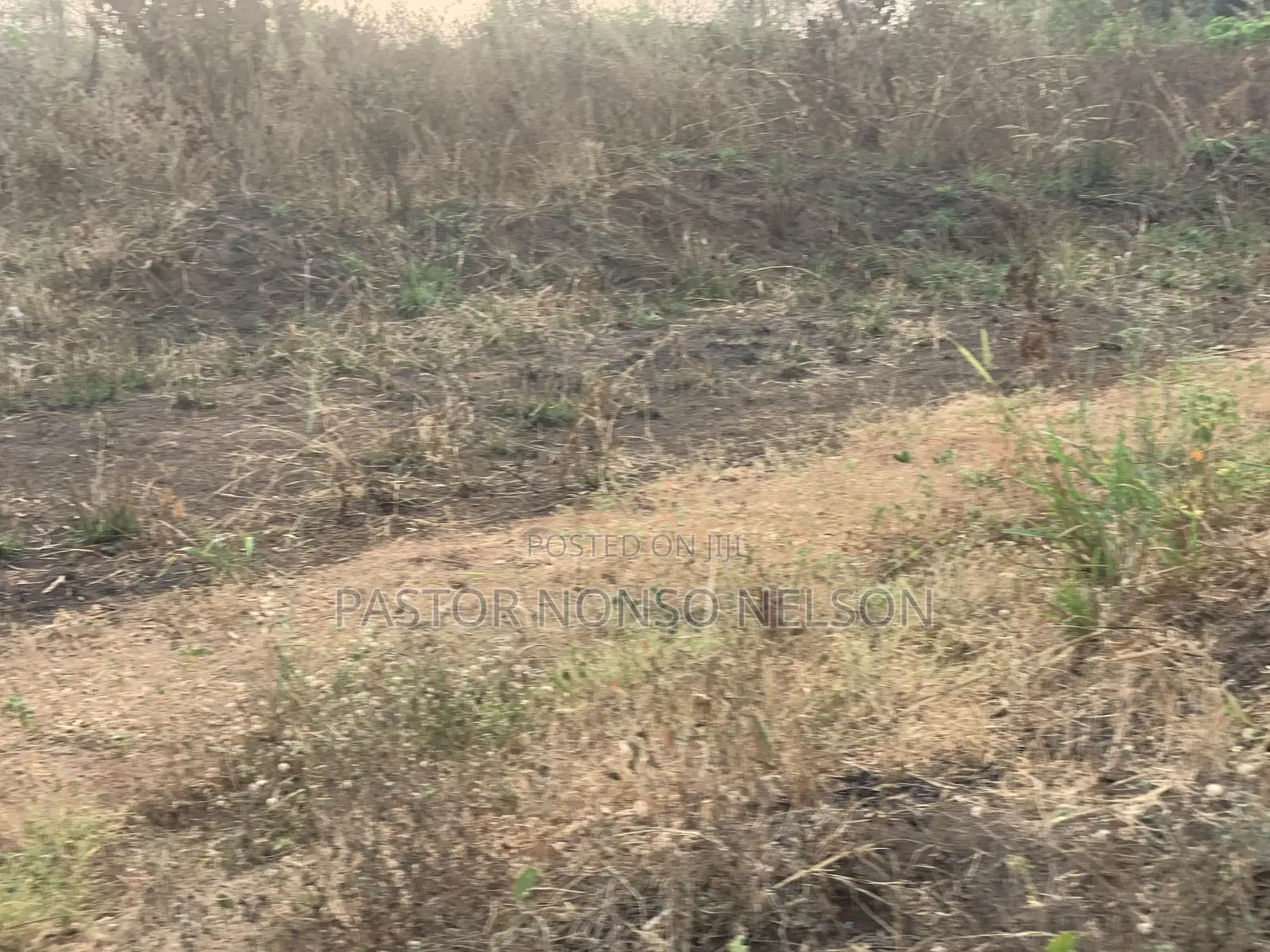 75plots For Sale At Umuapu in Ohaji/Egbema
