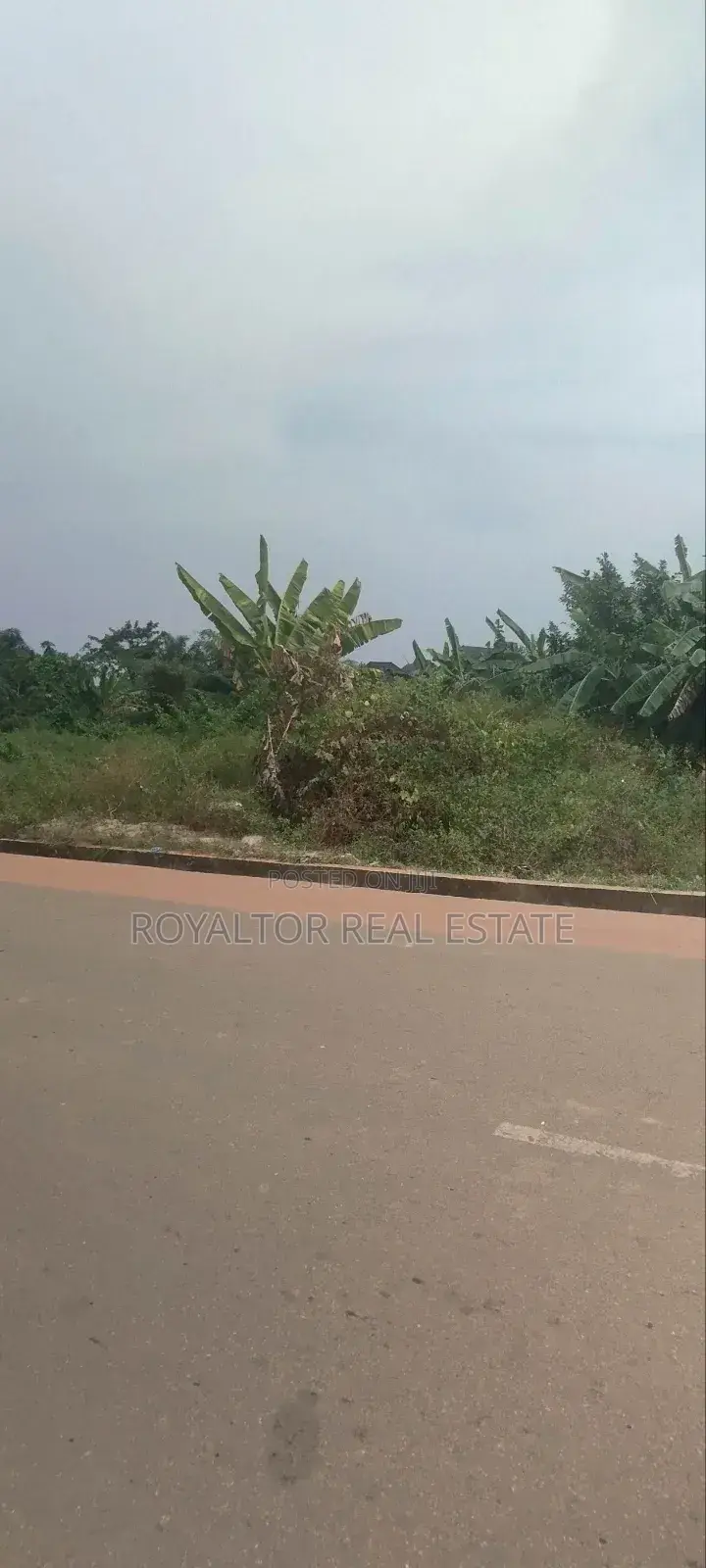 500 Hectares (5,0000 Plots) Available for Sale in Benin in Benin City
