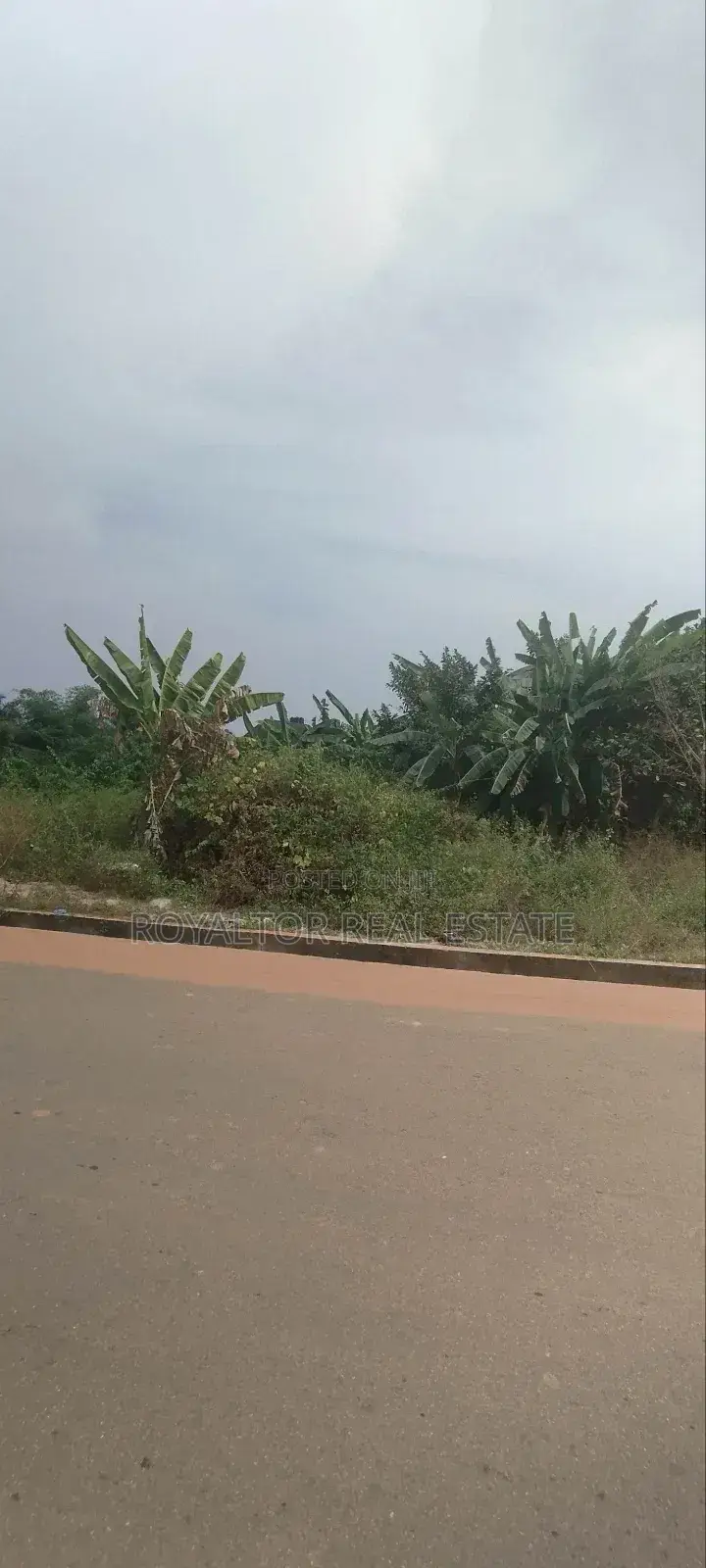500 Hectares (5,0000 Plots) Available for Sale in Benin in Benin City
