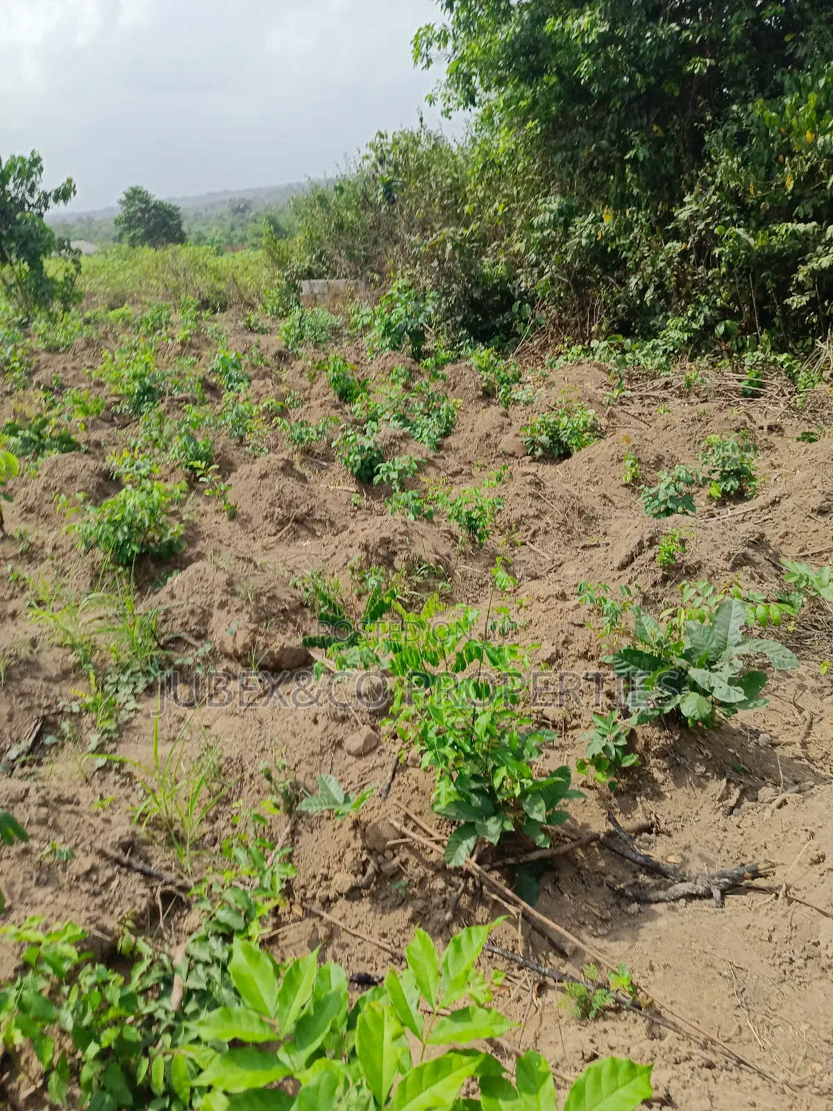 A Plots for Sale at Cannal City Winners in Ado-Odo/Ota