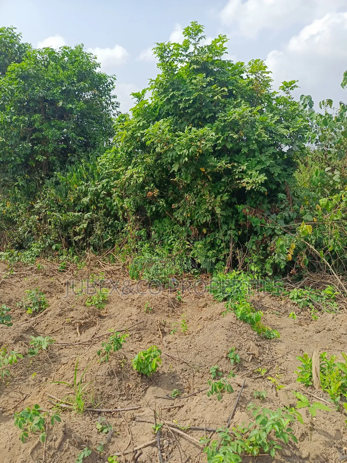 A Plots for Sale at Cannal City Winners in Ado-Odo/Ota