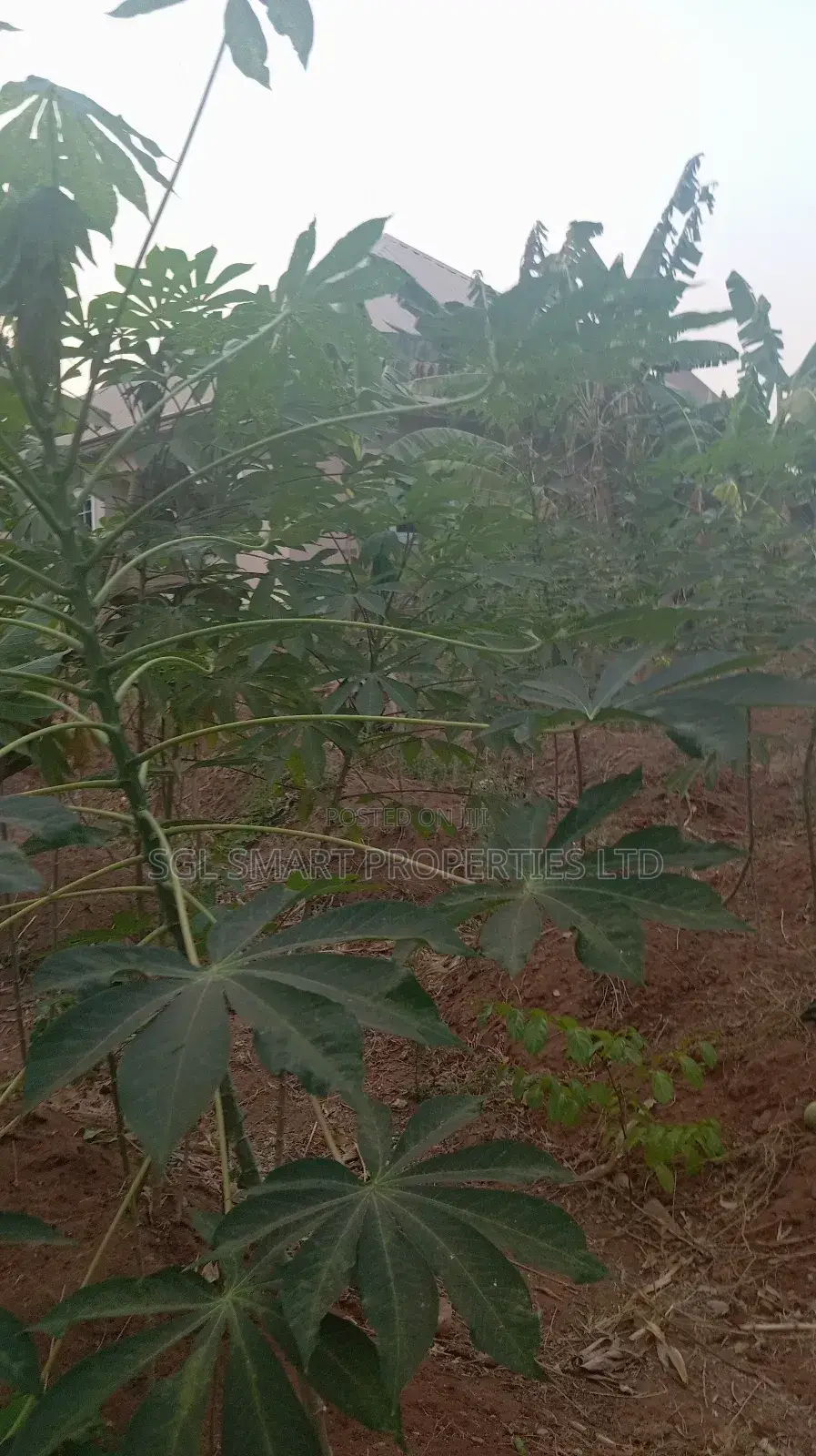 Half Plot of Land for Sale at Umubelle Àwka in Awka