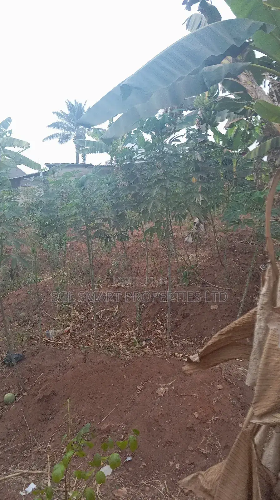 Half Plot of Land for Sale at Umubelle Àwka in Awka