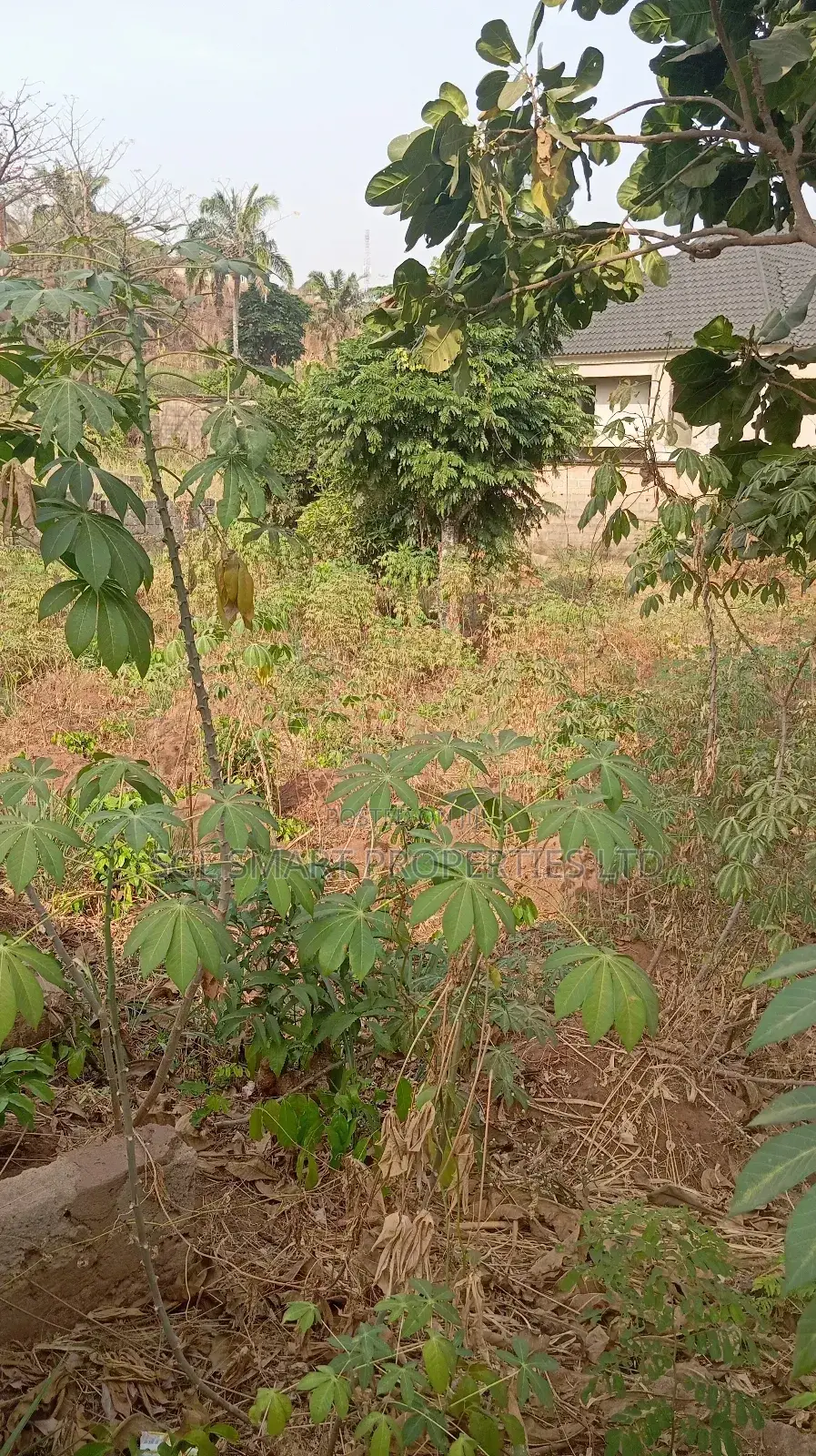 One and Half Plots for Sale at Aguoye Mini Estate in Awka