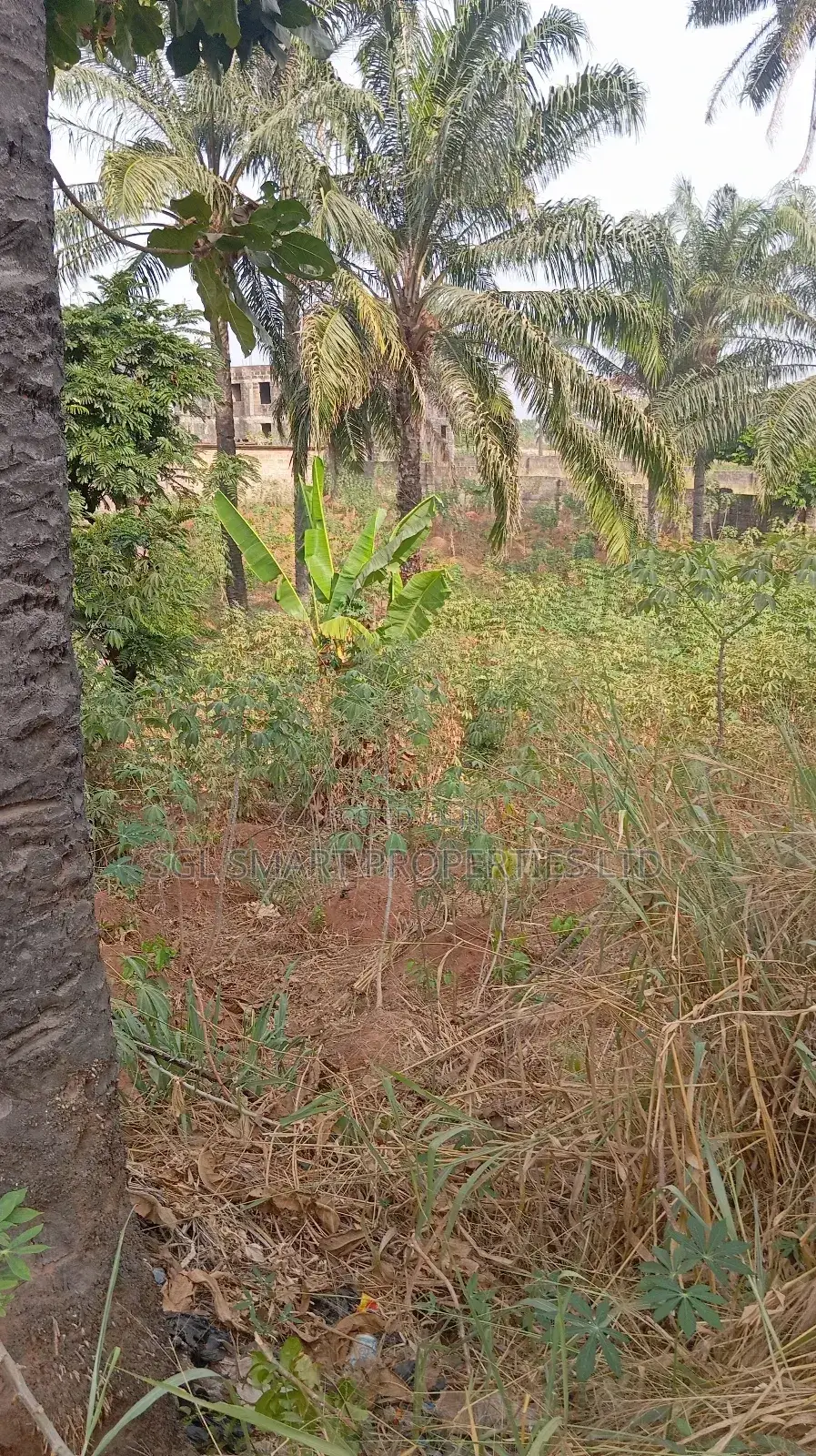 One and Half Plots for Sale at Aguoye Mini Estate in Awka