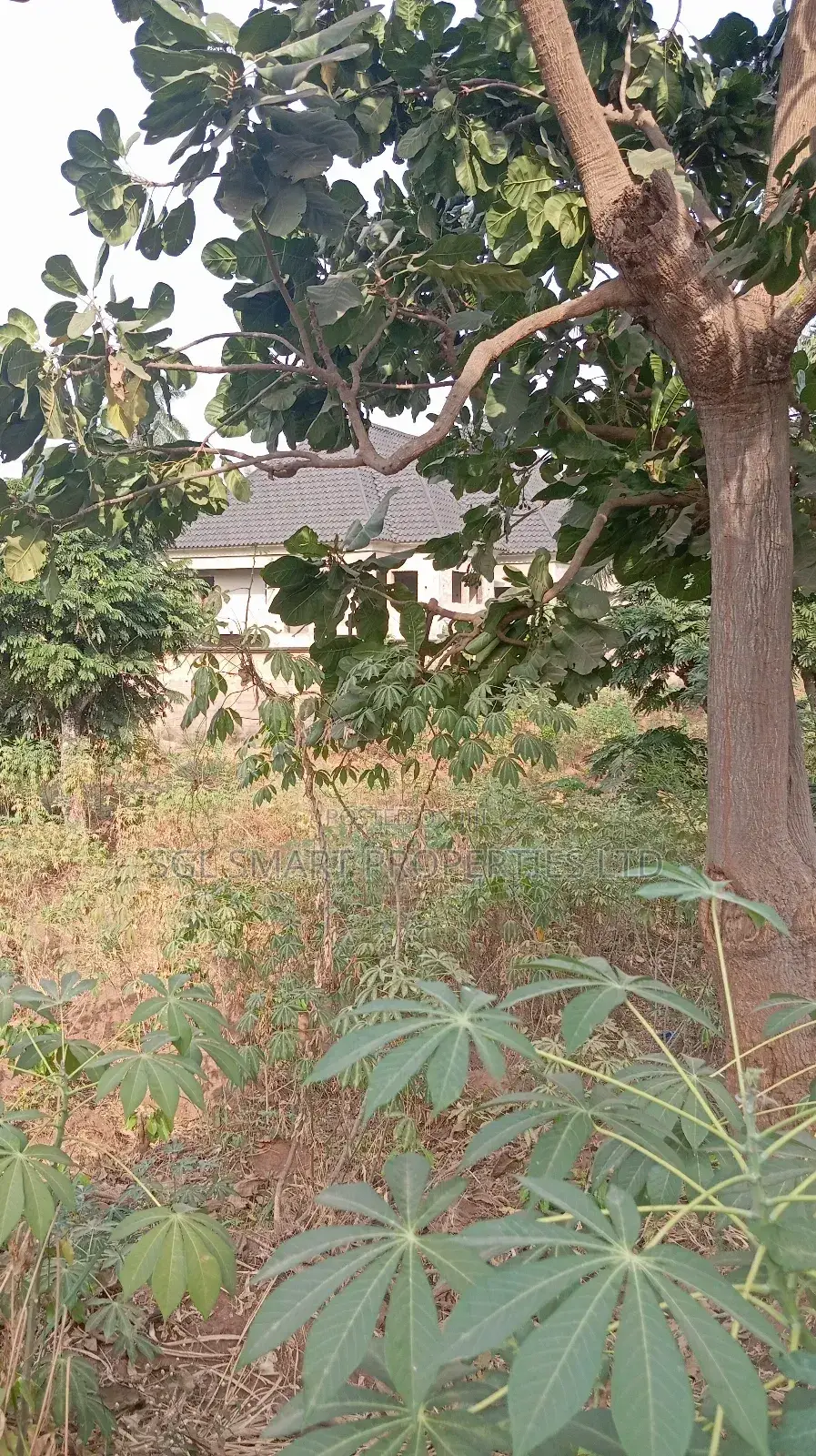 One and Half Plots for Sale at Aguoye Mini Estate in Awka
