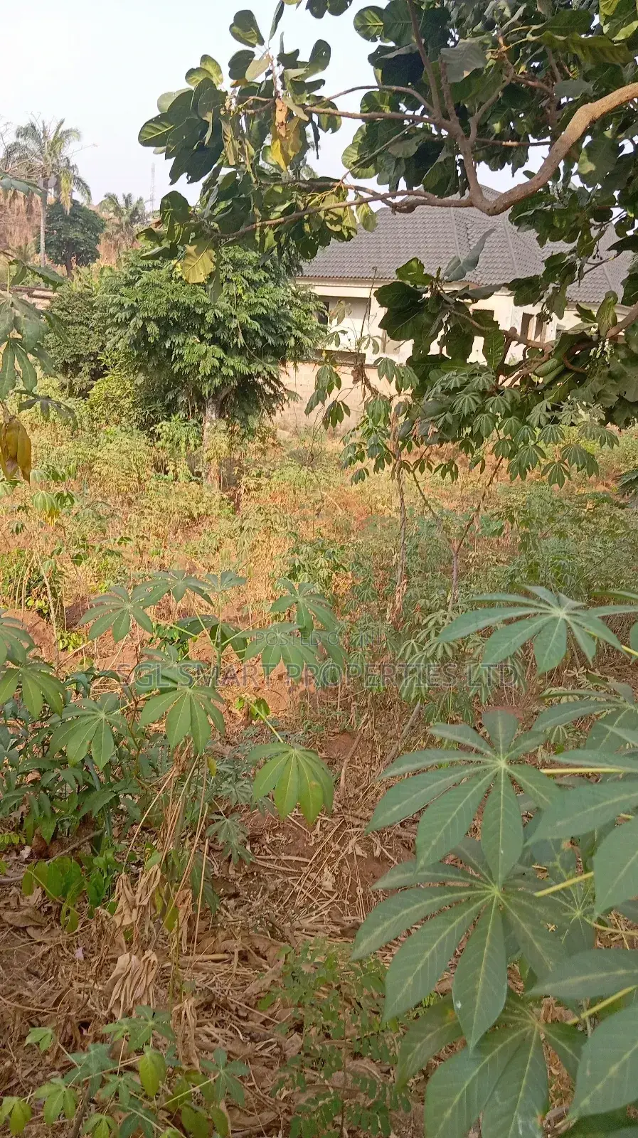 One and Half Plots for Sale at Aguoye Mini Estate in Awka