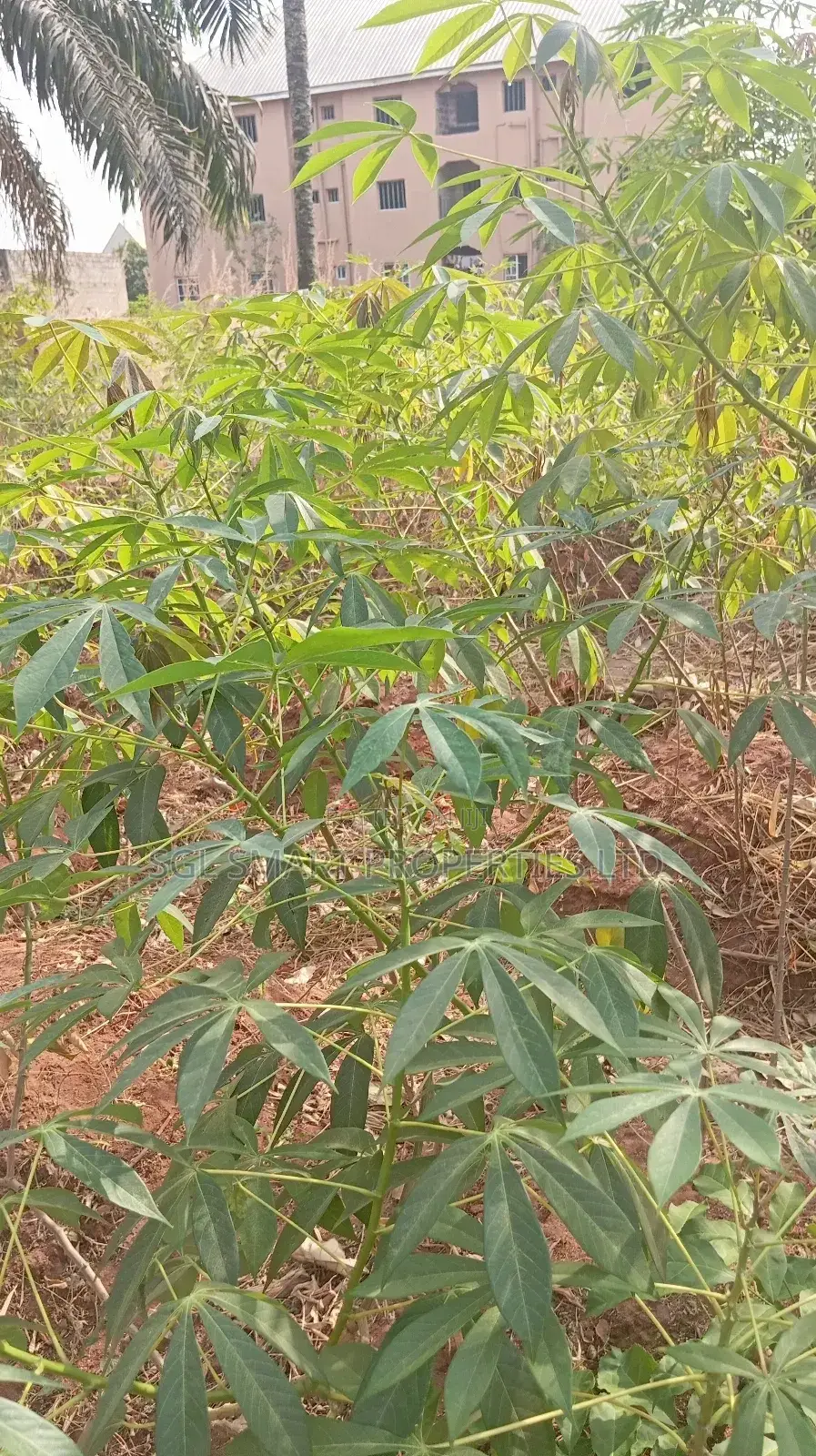 One Plot of Land for Sale in Nkwelle Awka, Anambra State in Awka