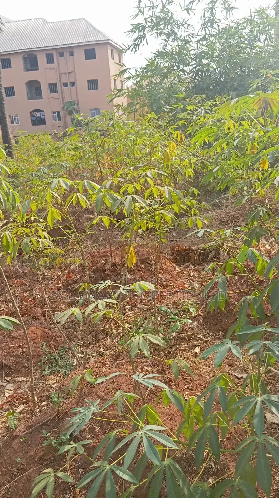 One Plot of Land for Sale in Nkwelle Awka, Anambra State in Awka