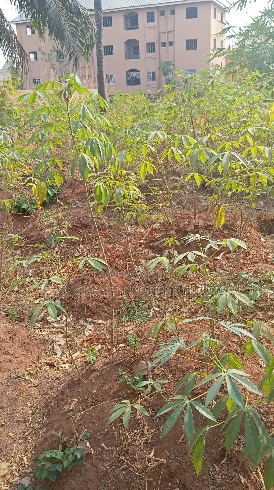 One Plot of Land for Sale in Nkwelle Awka, Anambra State in Awka