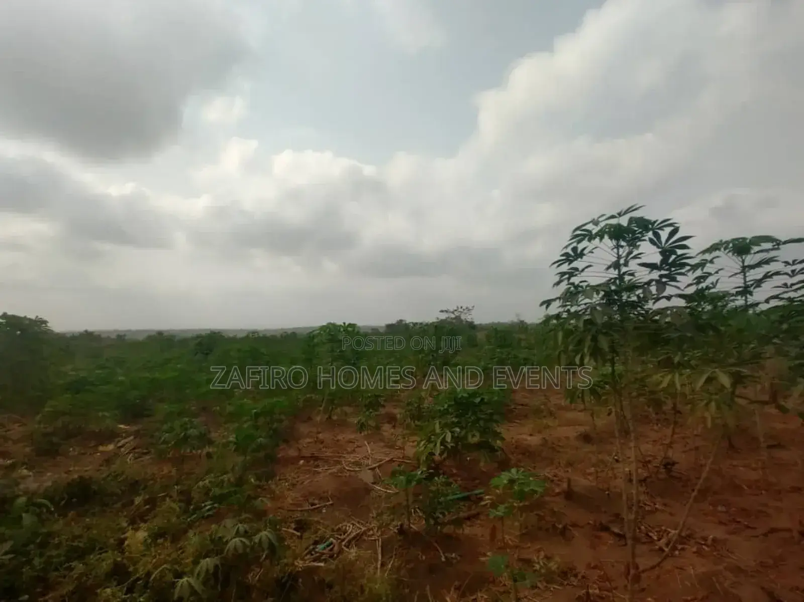 30 Acres of Farmland Near Ido-Eruwa Road Sales in Ibadan