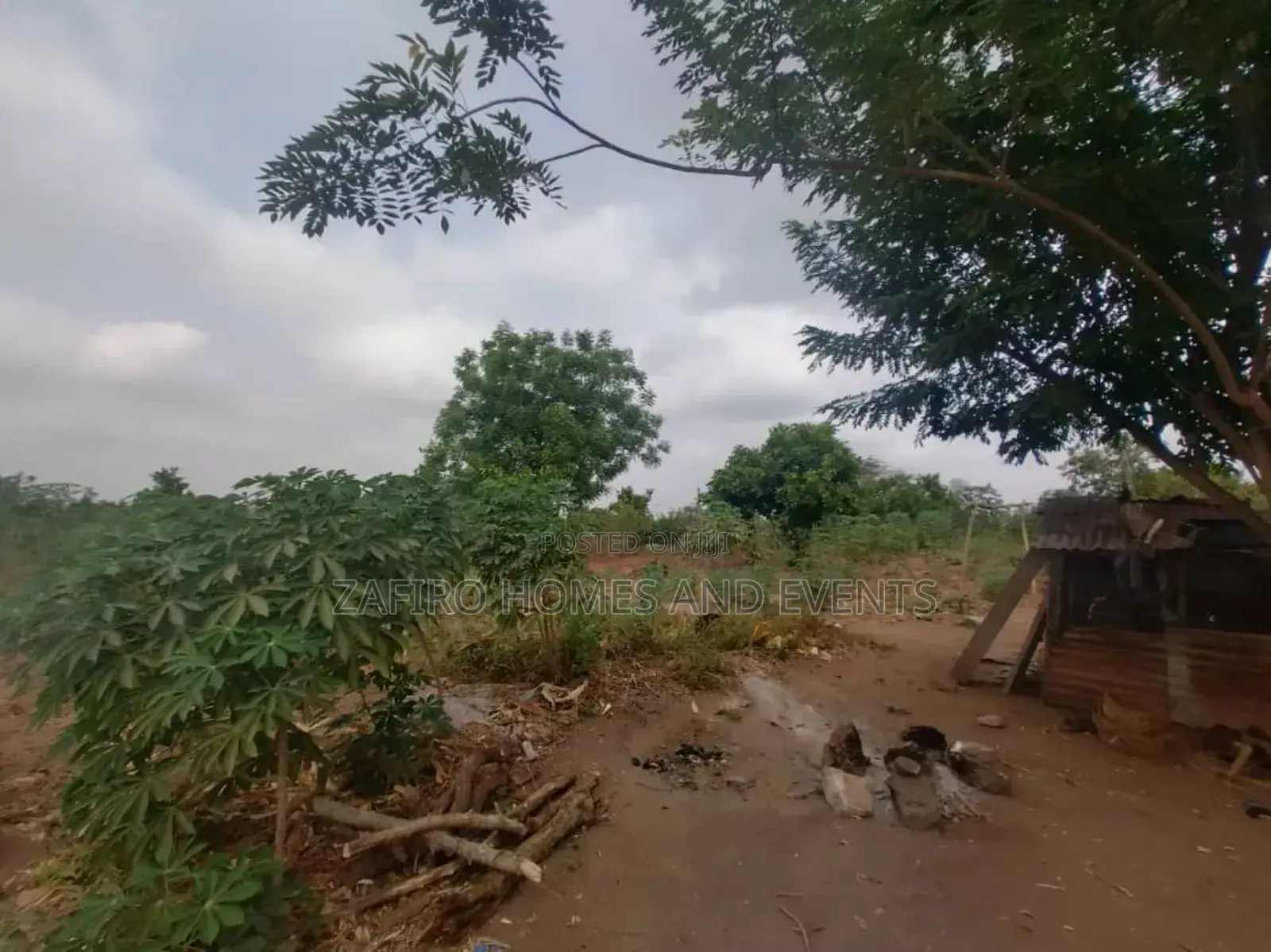 30 Acres of Farmland Near Ido-Eruwa Road Sales in Ibadan