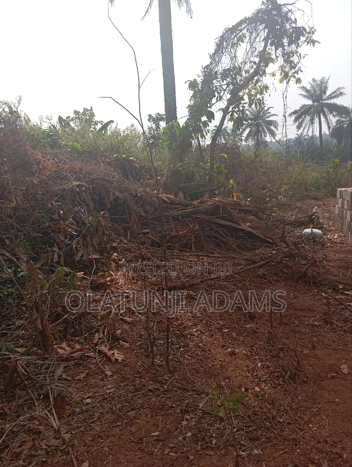500acres of Farmland at Ogbaga Gbongan at Per Acre in Osogbo