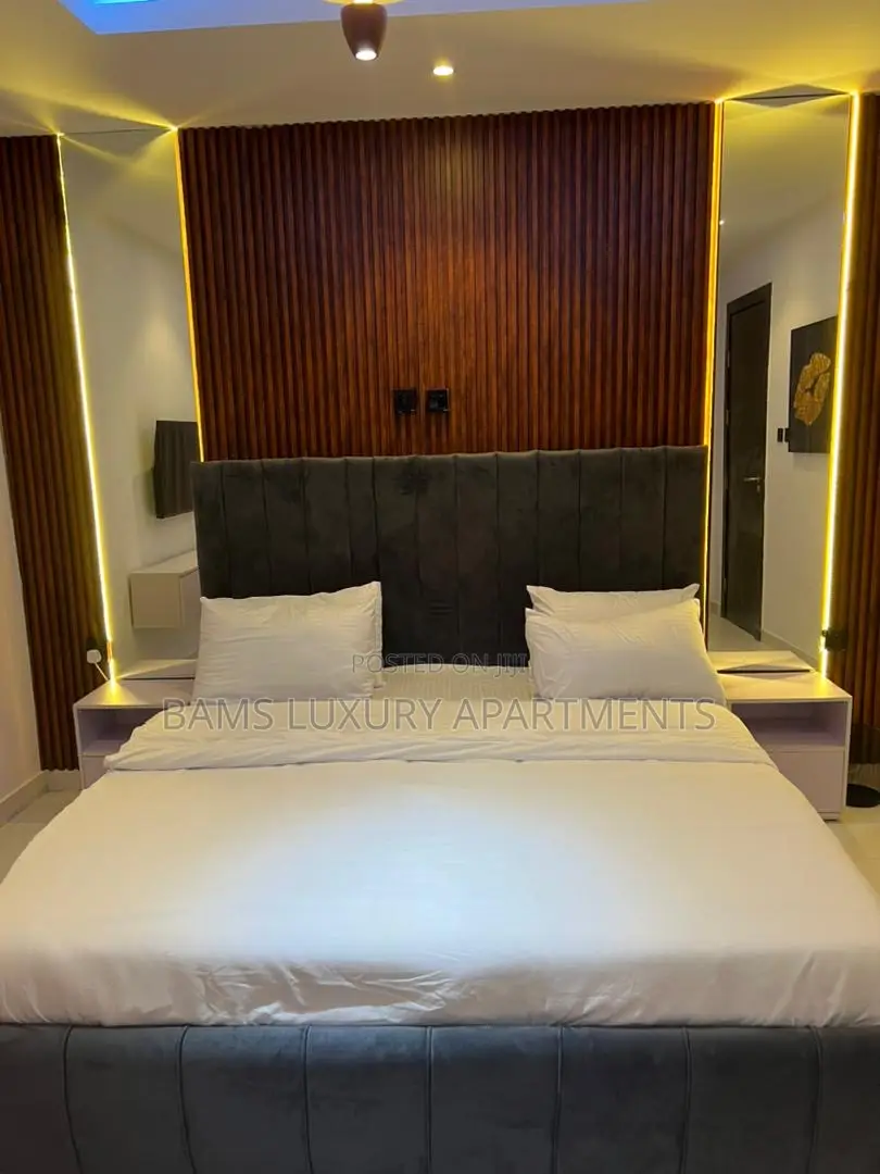 So Cozy and Nice Home in Lekki Phase 1