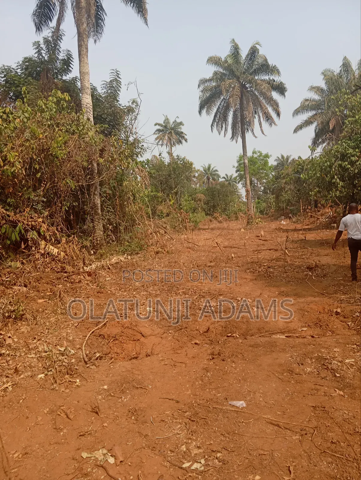 Plots of Land at Papanla After Alatorin Okinni in Osogbo