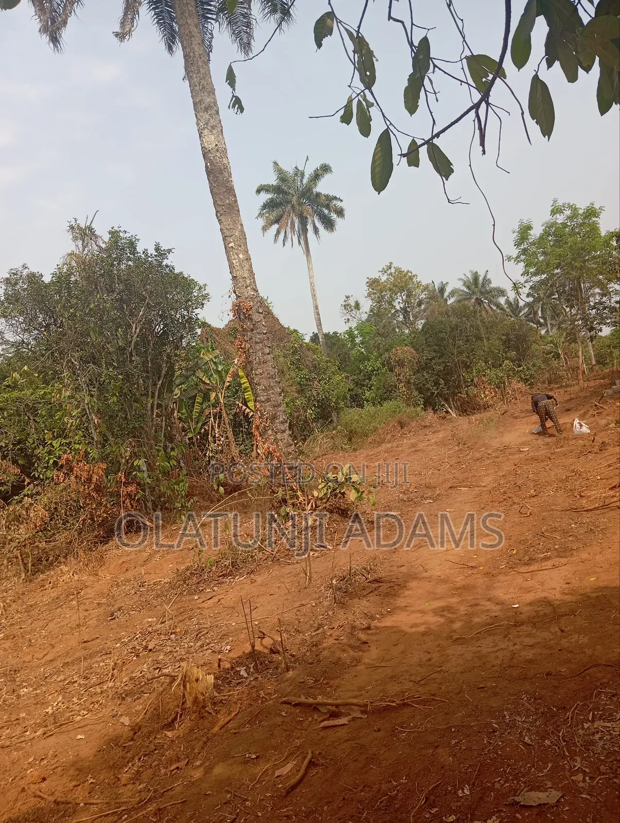 Plots of Land at Papanla After Alatorin Okinni in Osogbo