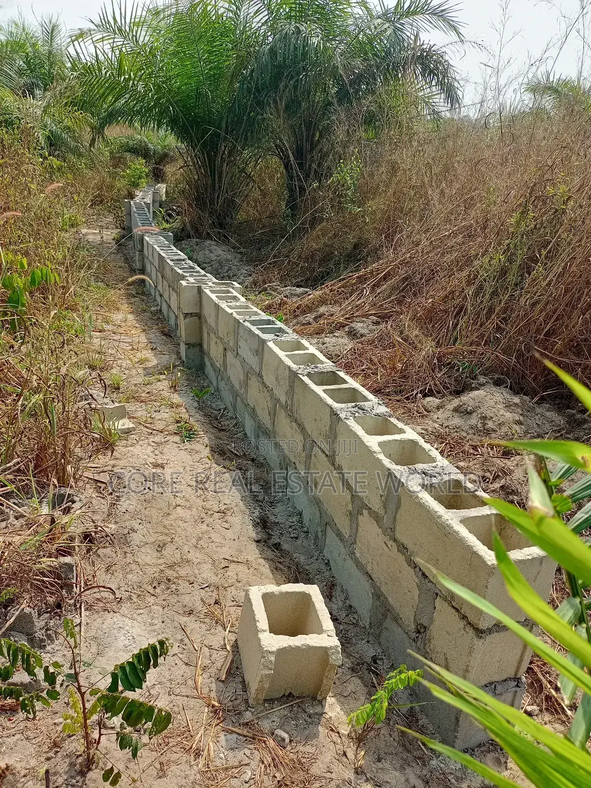 Buy and Build Land, Ogheghe Sapele Rd Benin Edo State in Benin City
